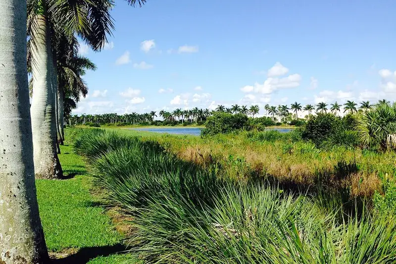 Lakeside green space in Tamarac, Tamarac, FL