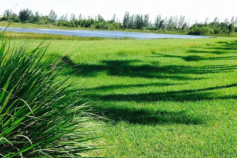 Open lawn and lake view in Tamarac, Tamarac, FL